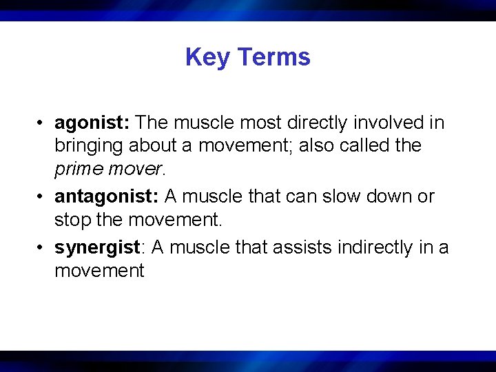 Key Terms • agonist: The muscle most directly involved in bringing about a movement;