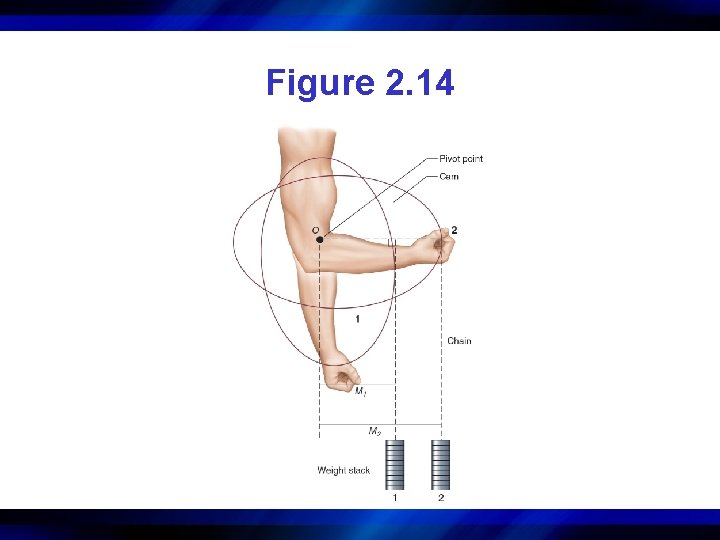 Figure 2. 14 