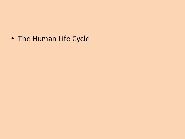  • The Human Life Cycle 