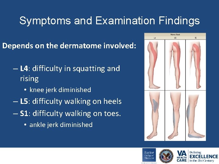 Symptoms and Examination Findings Depends on the dermatome involved: – L 4: difficulty in