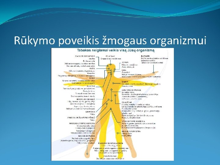 Rūkymo poveikis žmogaus organizmui 