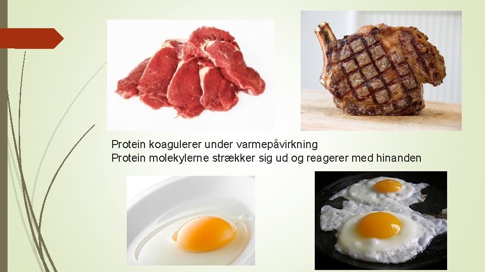 Protein koagulerer under varmepåvirkning Protein molekylerne strækker sig ud og reagerer med hinanden 