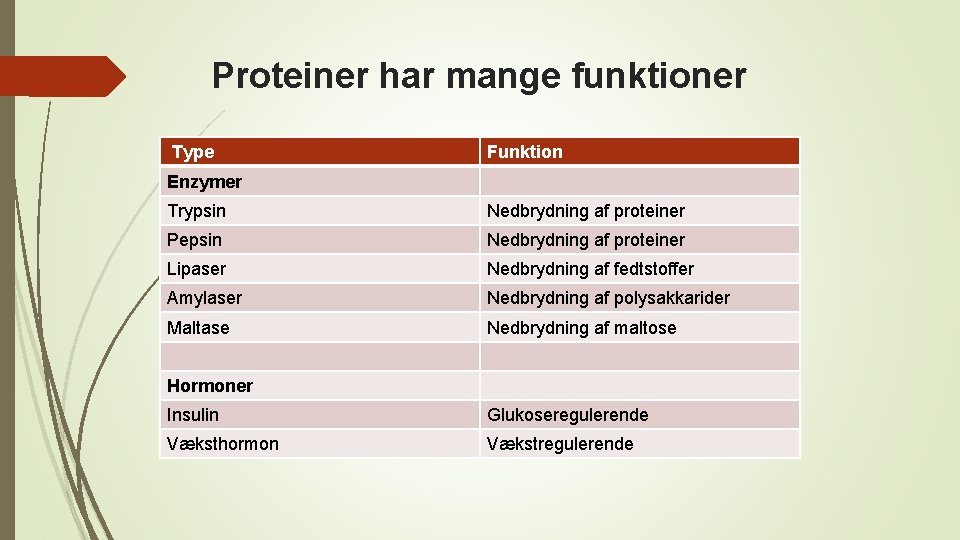 Proteiner har mange funktioner Type Funktion Enzymer Trypsin Nedbrydning af proteiner Pepsin Nedbrydning af