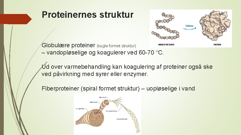 Proteinernes struktur Globulære proteiner (kugle formet struktur) – vandopløselige og koagulerer ved 60 -70