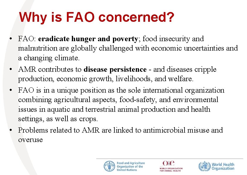 Why is FAO concerned? • FAO: eradicate hunger and poverty; food insecurity and malnutrition