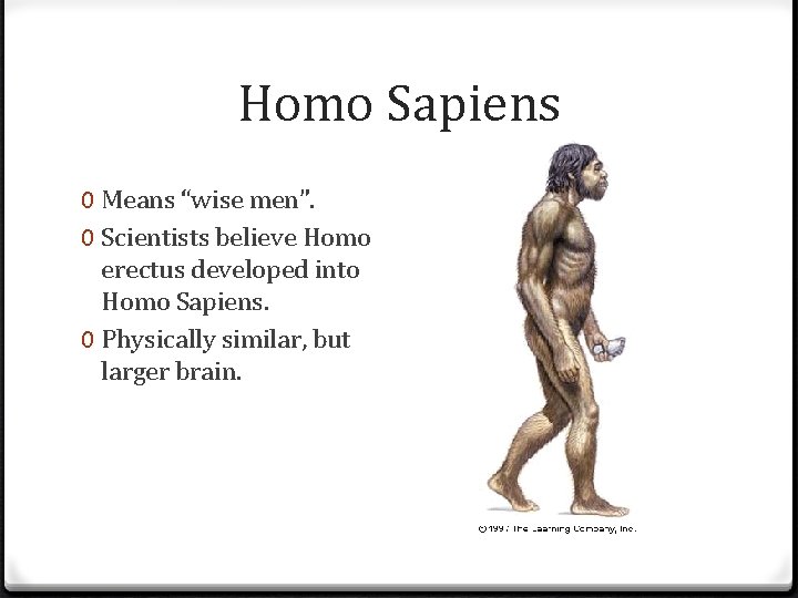 Homo Sapiens 0 Means “wise men”. 0 Scientists believe Homo erectus developed into Homo