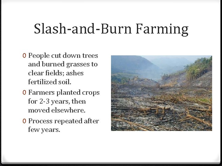Slash-and-Burn Farming 0 People cut down trees and burned grasses to clear fields; ashes