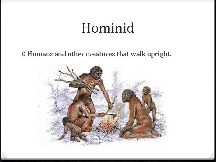 Hominid 0 Humans and other creatures that walk upright. 