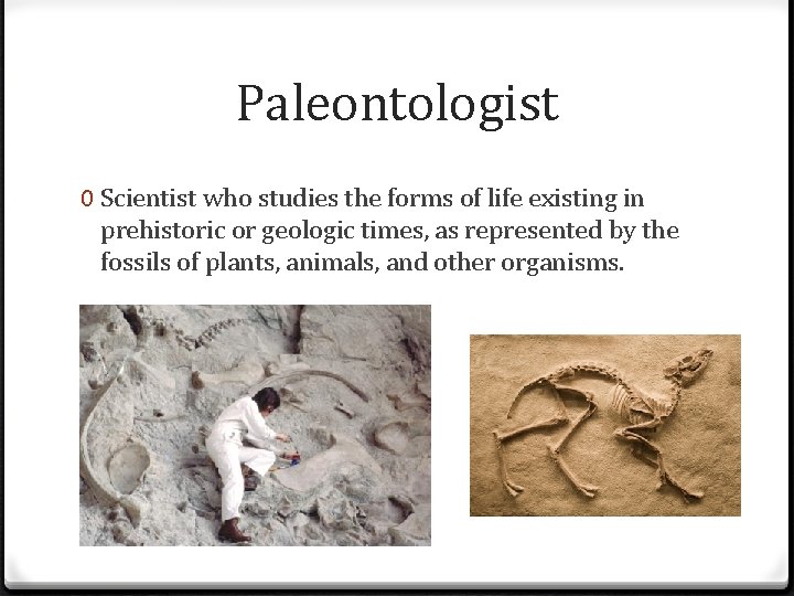 Paleontologist 0 Scientist who studies the forms of life existing in prehistoric or geologic