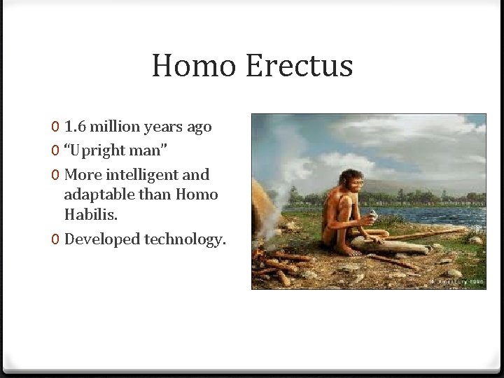Homo Erectus 0 1. 6 million years ago 0 “Upright man” 0 More intelligent