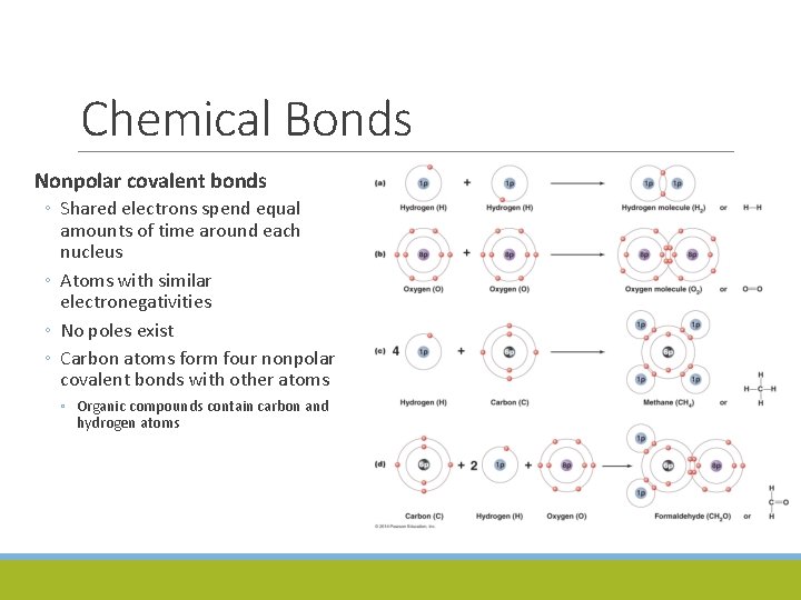 Chemical Bonds Nonpolar covalent bonds ◦ Shared electrons spend equal amounts of time around
