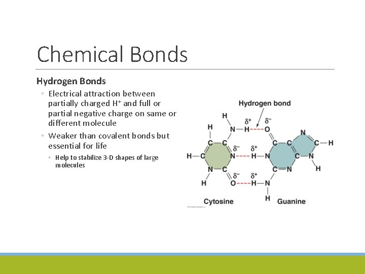 Chemical Bonds Hydrogen Bonds ◦ Electrical attraction between partially charged H+ and full or