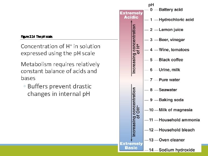 Figure 2. 14 The p. H scale. Concentration of H+ in solution expressed using