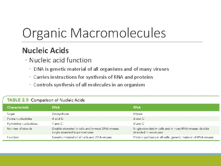 Organic Macromolecules Nucleic Acids ◦ Nucleic acid function ◦ DNA is genetic material of