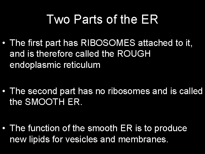 Two Parts of the ER • The first part has RIBOSOMES attached to it,