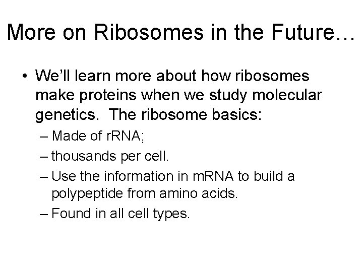 More on Ribosomes in the Future… • We’ll learn more about how ribosomes make