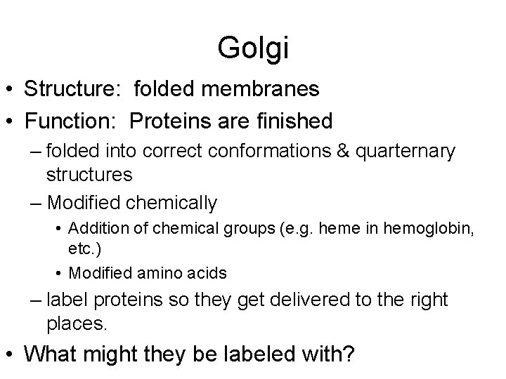 Golgi • Structure: folded membranes • Function: Proteins are finished – folded into correct