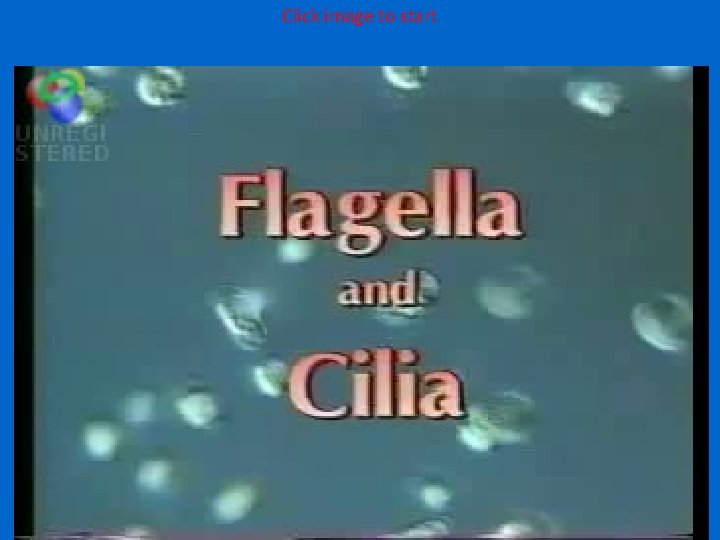 Click image to start 