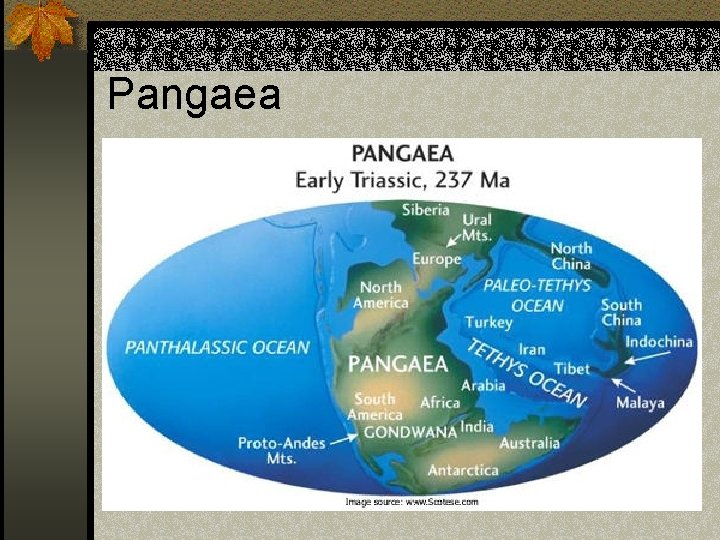 Pangaea 