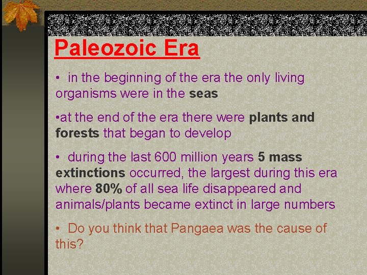 Paleozoic Era • in the beginning of the era the only living organisms were