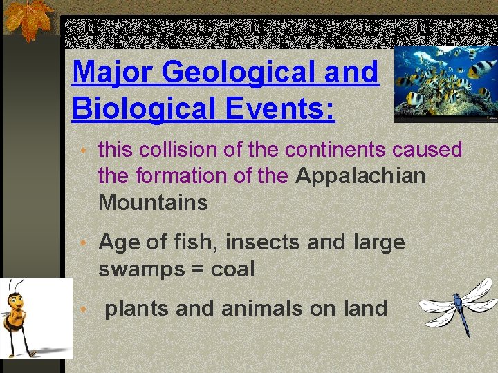 Major Geological and Biological Events: • this collision of the continents caused the formation