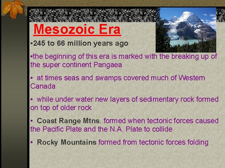 Mesozoic Era • 245 to 66 million years ago • the beginning of this