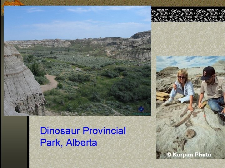 Dinosaur Provincial Park, Alberta 
