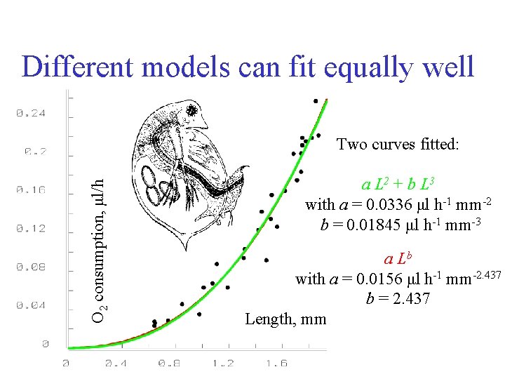 Different models can fit equally well O 2 consumption, μl/h Two curves fitted: a