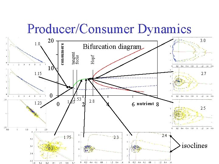 10 3. 0 Bifurcation diagram Hopf 20 tangent focus 1. 0 consumers Producer/Consumer Dynamics