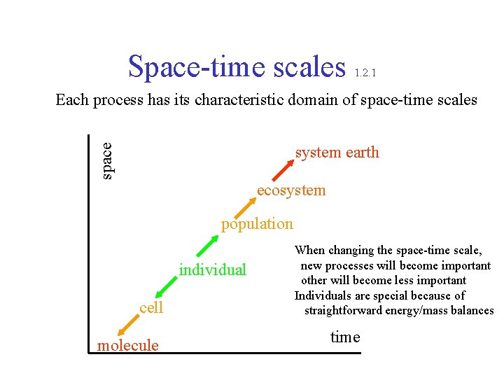 Space-time scales 1. 2. 1 Each process has its characteristic domain of space-time scales