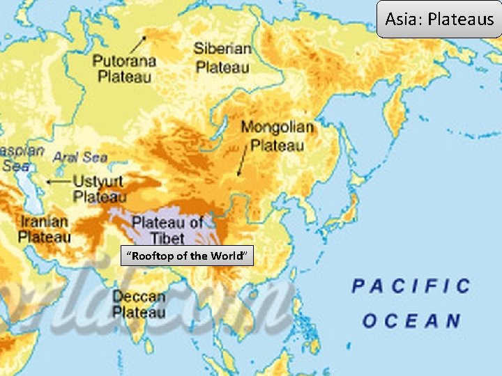 Asia: Plateaus “Rooftop of the World” 