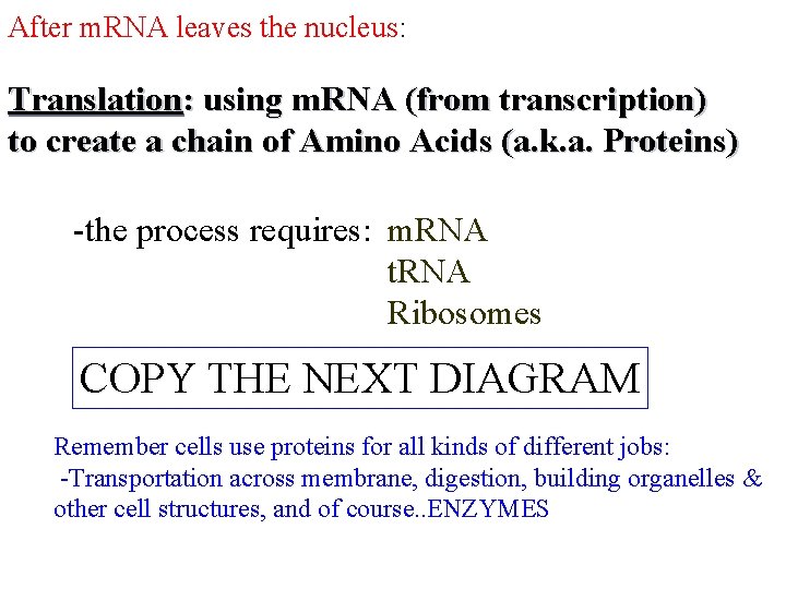 After m. RNA leaves the nucleus: Translation: using m. RNA (from transcription) to create