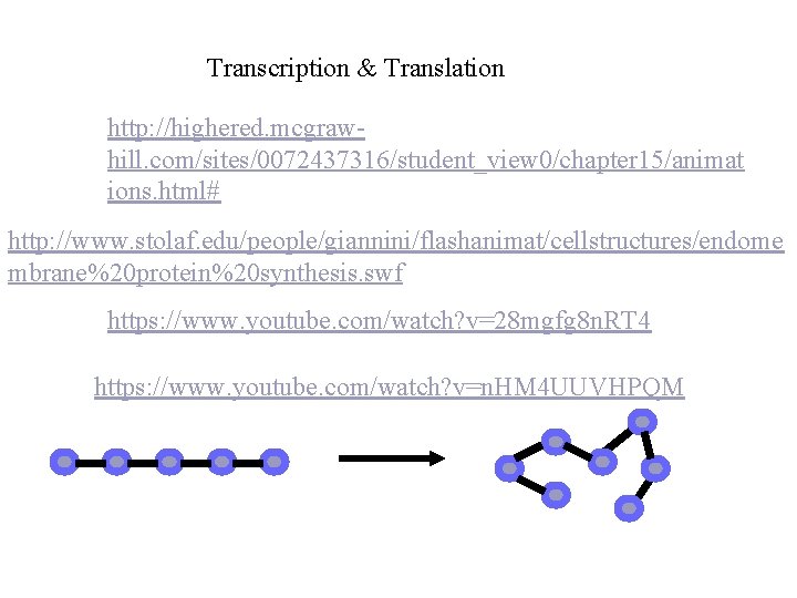 Transcription & Translation http: //highered. mcgrawhill. com/sites/0072437316/student_view 0/chapter 15/animat ions. html# http: //www. stolaf.