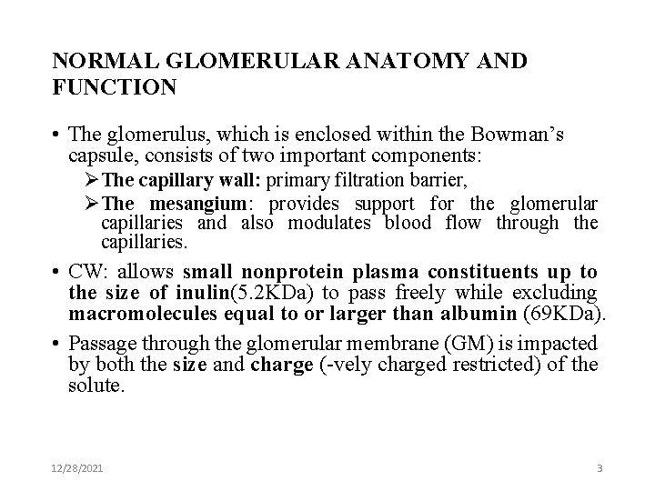 NORMAL GLOMERULAR ANATOMY AND FUNCTION • The glomerulus, which is enclosed within the Bowman’s