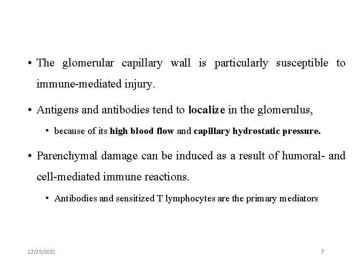  • The glomerular capillary wall is particularly susceptible to immune-mediated injury. • Antigens