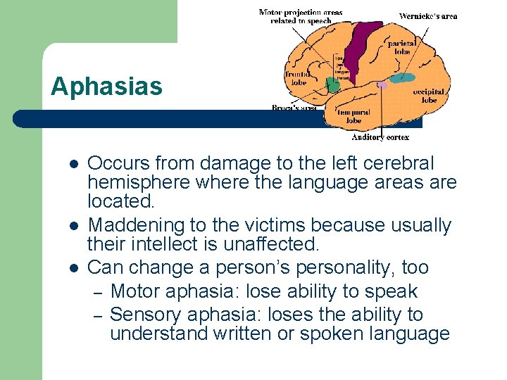 Aphasias l l l Occurs from damage to the left cerebral hemisphere where the