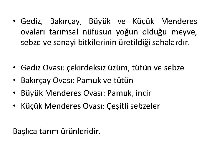  • Gediz, Bakırçay, Büyük ve Küçük Menderes ovaları tarımsal nüfusun yoğun olduğu meyve,