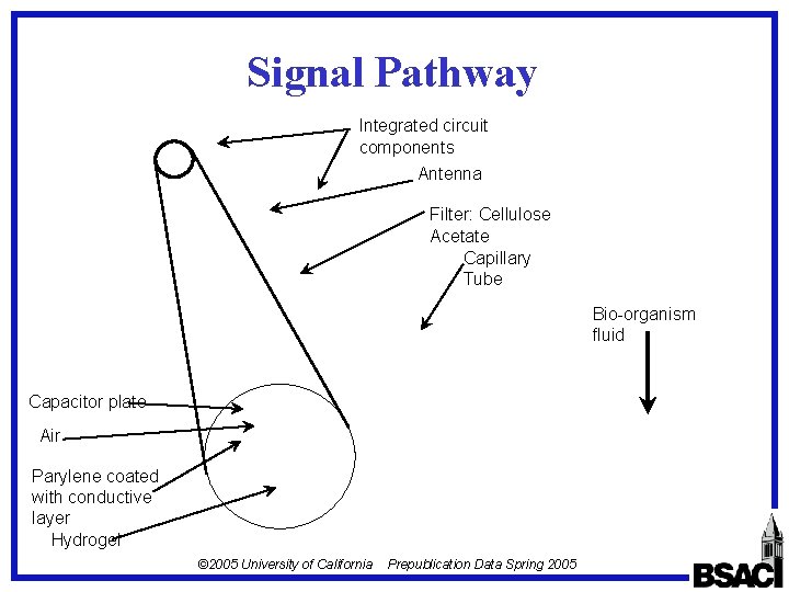 Signal Pathway Integrated circuit components Antenna Filter: Cellulose Acetate Capillary Tube Bio-organism fluid Capacitor