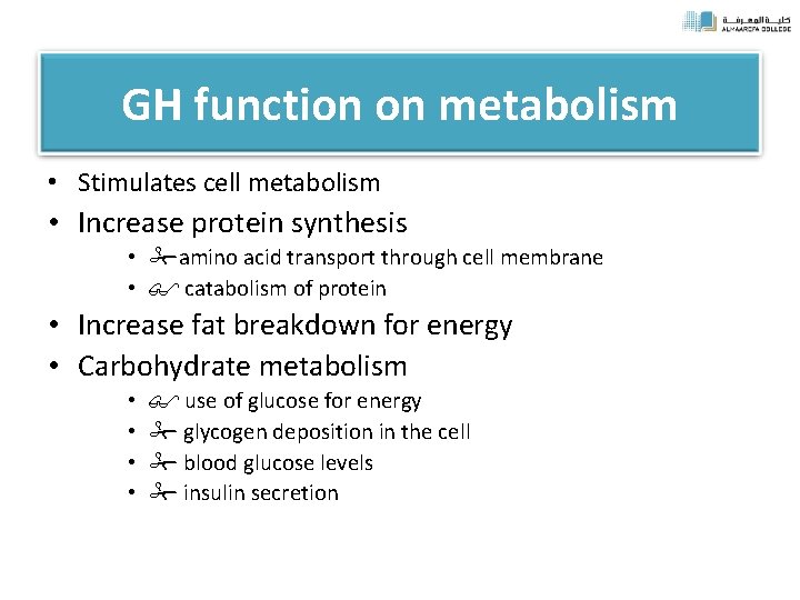 GH function on metabolism • Stimulates cell metabolism • Increase protein synthesis • amino