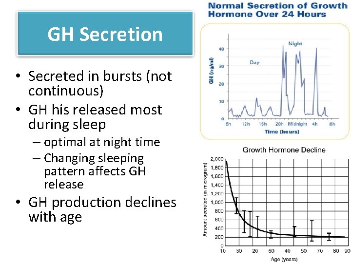 GH Secretion • Secreted in bursts (not continuous) • GH his released most during