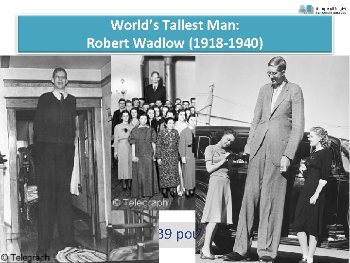 World’s Tallest Man: Robert Wadlow (1918 -1940) 8 feet 11 inches and 439 pounds