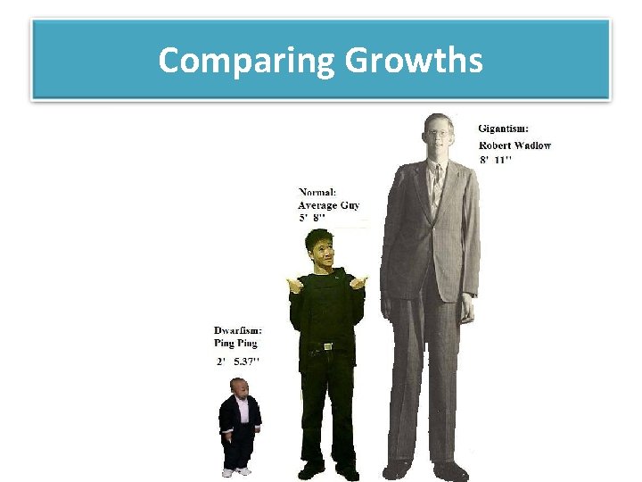 Comparing Growths 