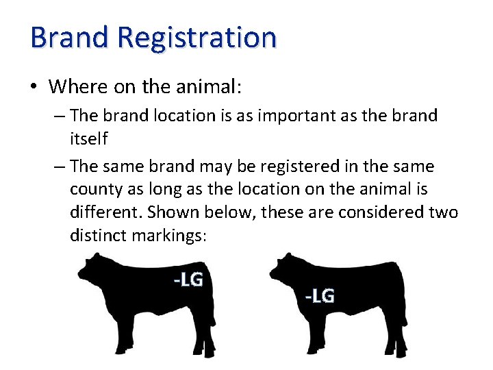 Brand Registration • Where on the animal: – The brand location is as important