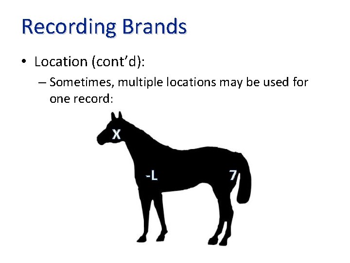 Recording Brands • Location (cont’d): – Sometimes, multiple locations may be used for one