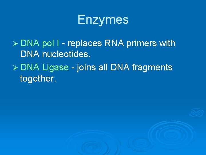 Enzymes Ø DNA pol I - replaces RNA primers with DNA nucleotides. Ø DNA