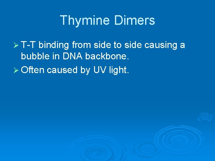 Thymine Dimers Ø T-T binding from side to side causing a bubble in DNA