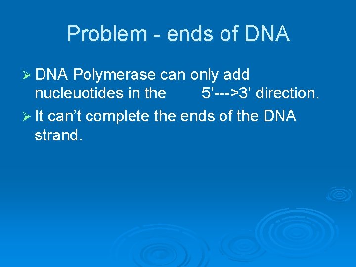 Problem - ends of DNA Ø DNA Polymerase can only add nucleuotides in the