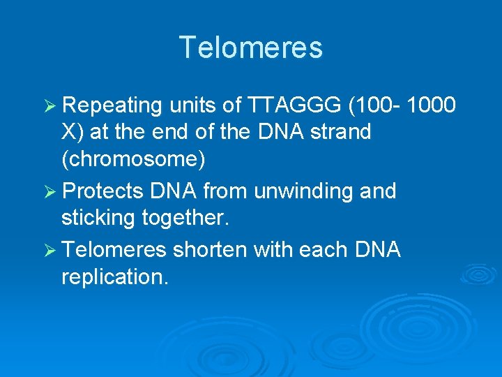Telomeres Ø Repeating units of TTAGGG (100 - 1000 X) at the end of