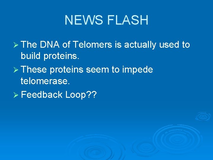 NEWS FLASH Ø The DNA of Telomers is actually used to build proteins. Ø