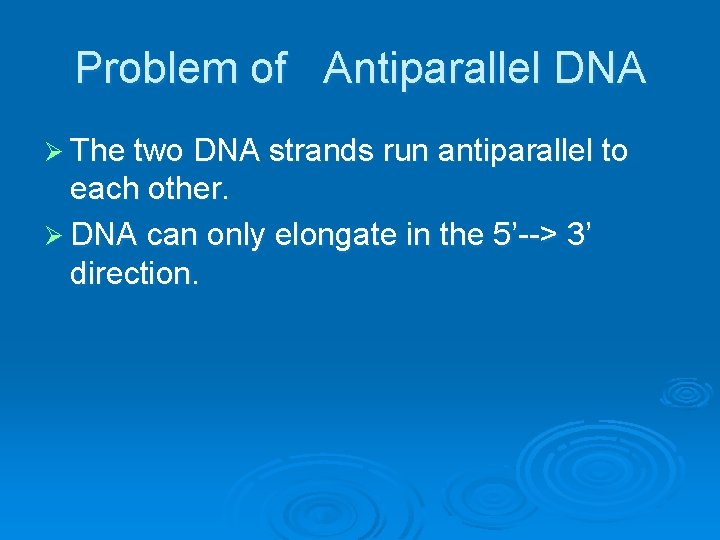 Problem of Antiparallel DNA Ø The two DNA strands run antiparallel to each other.